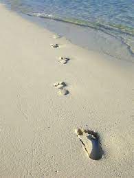 319 kostenlose bilder zum thema fußspuren im sand. Spuren Im Sand Kostenlos Drucken Spuren Im Sand Gedicht Zum Ausdrucken Originalfassung Des Gedichts Footprints C 1964 Margaret Fishback Powers Dontstopthemusicbaby