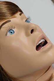 Meet the Sims, at Yukon's new medical simulation training facility