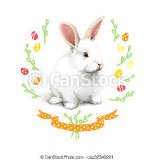 Ajoutez des lignes courbes sur la tête pour vous aider à déterminer la position des yeux, du nez et de la bouche. Realiste Peu Lapin Paques Illustration Mignon Peu Illustration Realiste Lapin Blanc Paques Canstock