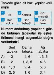 1 Asagida Verilen Yapilardan Hangisi Damar Tabakada Yer Almaz A Iris B Kornea C Goz Bebegi D Goz Mercegi 2 5 6 7 3 8 4 9 Pdf Free Download