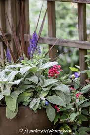 We did not find results for: July 4th Containers Patriotic Red White And Blue Flower Pot Combinations Gardening From House To Home