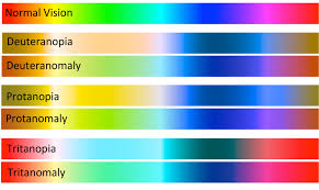 But others have trouble recognizing blue and yellow. Why Red Green Colorblind Individuals Are More Common Iristech