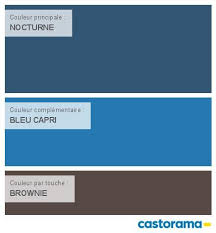 Castorama Nuancier Peinture Mon Harmonie Peinture Nocturne Satin De Colours Collection Nuancier Peinture Castorama Peinture