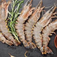Welcome to the website for the united recreational soccer league. Tiger Shrimps U15 Fresh Per Kg Pakistan Price Buy Online In Dubai Uae Union Coop