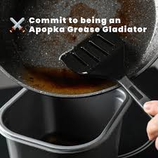 City of Apopka Government...