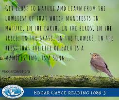 Food being the single most important way about doing that. Edgar Cayce Edgar Cayce Cayce Healing Words