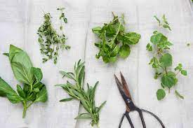 How to dry your herbs from the garden. How To Dry And Store Your Fresh Garden Herbs