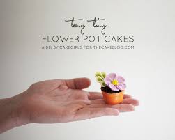 Diy Tiny Flower Pot Cakes The Cake Blog
