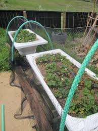 Check spelling or type a new query. Quick And Simple Garden Structures Archway And Garden Protectors Made From Tubing Made Simple