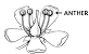Pistil Of A Flower