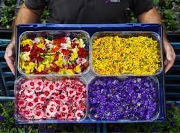Beautiful tiny flower cake design happy floral design day cake. Sainsbury S Launches Edible Flowers Into Fresh Herbs Fixture News The Grocer