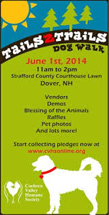 Alisa white karwowski executive director new hope for children 7 dover neck road dover, nh 03820 telephone: 50 Support The Shelter Ideas Cat Adoption Small Pets Pet Adoption