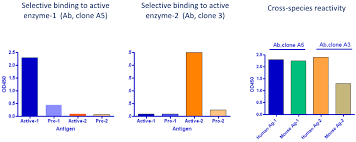 Novel Human Antibody Discovery Avantgen