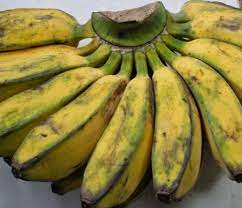 Diolah dengan cara digoreng, dijadikan kolak pisang adalah cara terfavorit mengolah pisang raja uli. 10 Resep Kreasi Pisang Goreng Enak Yang Bisa Jadi Teman Nikmat Saat Santai