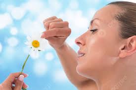 Pluck Flowers Background Images, HD Pictures and Wallpaper For Free  Download