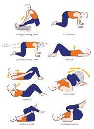 Pin On Lower Back Exercises