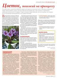 горшечные растения комнатные цветы фото и названия и уход за ними Pin By Sofiya Ivanova On Komnatnye Cvety Word Search Puzzle Words