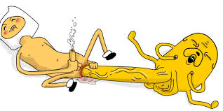 Rule34 - If it exists, there is porn of it  finn the human, jake the dog   1787727