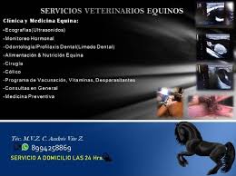 We did not find results for: Servicios Veterinarios Equinos Home Facebook