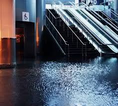 Flood Damage and Water Restoration Company - Ideal Response