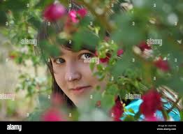 Rose among roses hi-res stock photography and images