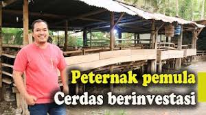 Buatlah dua tipe kandang, yang besar dan kecil. Kandang Kambing Mewah X Kandang Kambing Sederhana Untuk Peternak Pemulaçš„youtubeè§†é¢'æ•ˆæžœåˆ†æžæŠ¥å'Š Noxinfluencer