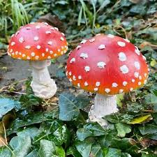 Maybe you would like to learn more about one of these? Pair Of Mushroom Garden Ornaments Red Cap Toadstool Outdoor Fungi Decoration Ebay