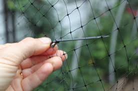 Bird Netting For Fruit Trees Bunnings Many Years Ago I Tried Draping Deer Netting Over My Blueberry Bushes It Was A Complete Failure I Didn T Secure The Netting At Ground Lev Blueberry Bushes Deer Netting Bird Netting