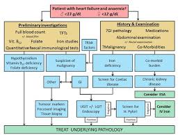 Management Of Anaemia In Patients With Chf Gm