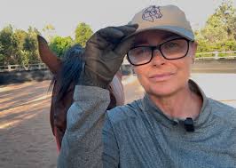 Announcing: The Rebuild📣 A long-form intensive for dismantling and  reassembling your horsemanship If you like what I write, here is the  important bit. The writing is not the product. It is the