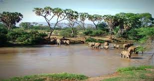 Budget Camping Safari: Best 4 Day Kenya Private Safari Tours