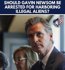 SHOULD GAVIN NEWSOM BE ARRESTED FOR HARBORING ILLEGAL ALIENS?