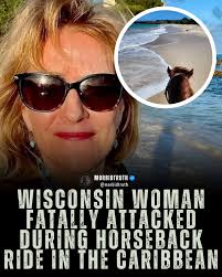 Karen Johannsen, a 66-year-old Wisconsin woman from Madison, was k*lled  following an att*ck while