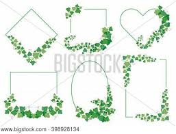 Find vectors of leaf border. Ivy Green Leaves Vector Photo Free Trial Bigstock