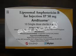 It is used to treat certain kinds of fungal or yeast infections. Liposomal Amphotericin B Pharmaceutical Distributors Wholesalers Exporter Supplier From India Gnh India
