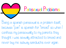 Pin On Pansexual Stuff