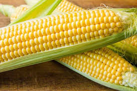 Dari begitu banyak manfaat dalam mengkonsumsi jagung ternyata jagung sendiri dapat meningkatkan gula. Manfaat Jagung Untuk Anak Bantu Tumbuh Kembangnya