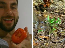 'Naked and Afraid XL' Contestant Poops Out Tomato Seeds to Grow Garden