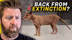 Is The Tasmanian Tiger REALLY Coming Back From Extinction?
