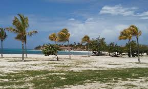 See more of beach tennis aruba on facebook. Tripify Bushiri Public Beach Oranjestad