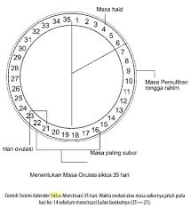 Pada wanita, kesuburan berarti kemampuan untuk menjadi hamil dan melahirkan bayi. Tips Mudah Mengetahui Masa Subur Untuk Wanita Viawriter Com