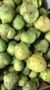 Image result for Annonaceae