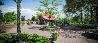 10 Beautiful Outdoor Wedding Venues In The Gta Beautiful Outdoor Wedding Outdoor Wedding Venues Outdoor Wedding