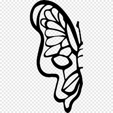 Greatbigcanvas.com has been visited by 100k+ users in the past month Monarch Butterfly Drawing Coloring Book Painting Butterfly Child Hand Png Pngegg