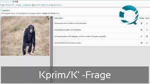 Für den begriff #prim findest du im #kreuzworträtsel lexikon 79 passende fragen. Iqul Gmbh Ihr Partner Fur Ein Effizientes Prozessmanagement Und E Prufungen Kprim Question