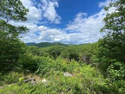 Gilmanton Annual Town and School Report 2023