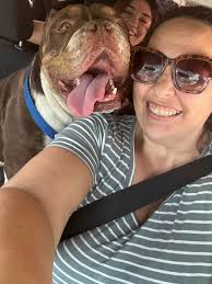 My baby suddenly passed away last night! We left for about an hour and half  for dinner and came home and he was gone! I don't know what happened, I  just took