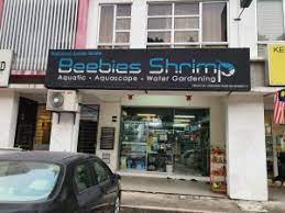 Our aquarium design supplier in ampang provides affordable aquarium fish tank nationwide, especially within ampang, selangor, malaysia. Top 10 Aquatic Pet Shops In Kl Selangor