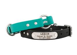 Why Should I Use A Safety Collar The How To Dog Blog Safety Collar Personalized Dog Collars Dog Safety