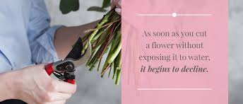 How long does iced tea last? How Long Do Flowers Last Comprehensive Guide Ode A La Rose